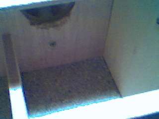 Vue de dessus a l'entrÃ©e (Nichoir Ouvert).jpg