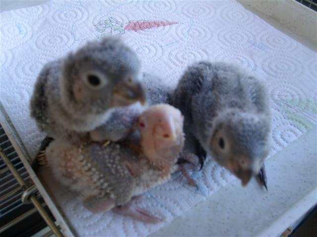 PICT0127 (Small).JPG