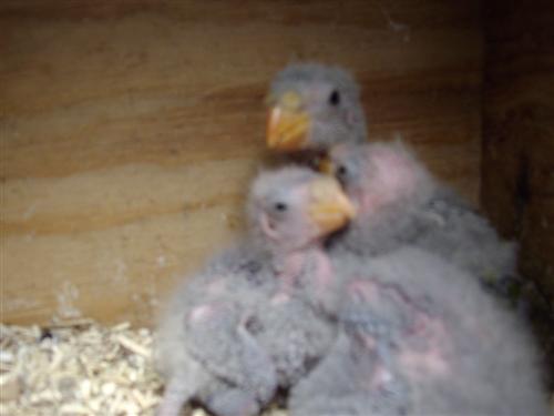 IMGP0019 (Custom).JPG