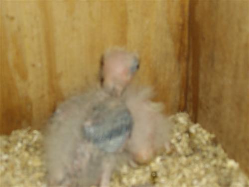 IMGP0022 (Custom).JPG