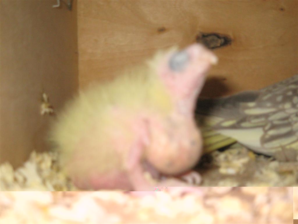 Photo 015 (Large).jpg