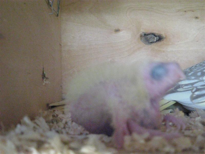 Photo 016 (Medium).jpg