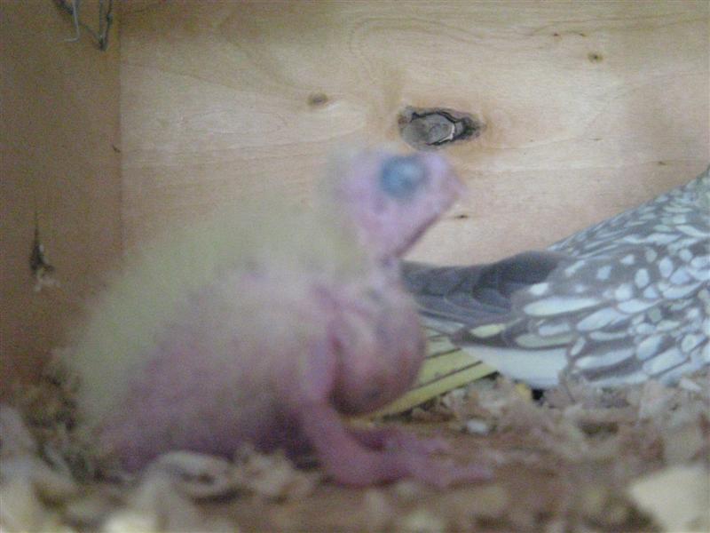 Photo 017 (Medium).jpg