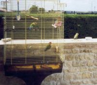 redimensionnement visite2.jpg