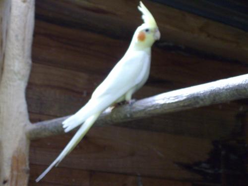 IMGP0035 (Custom).JPG