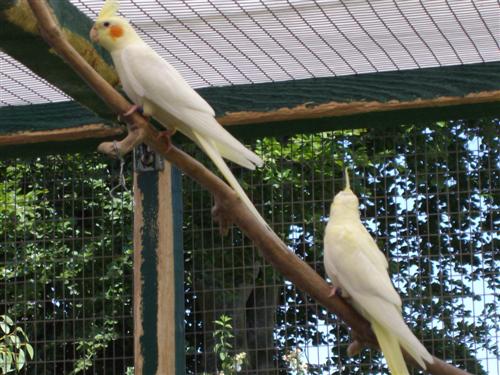 IMGP0036 (Custom).JPG