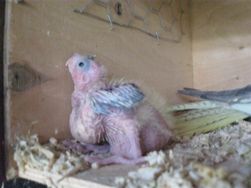 Photo 018 (Medium) (2).jpg