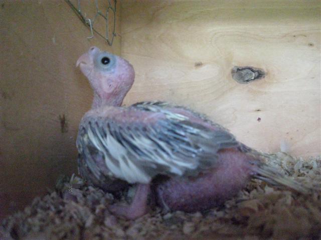 Photo 028 (Small).jpg