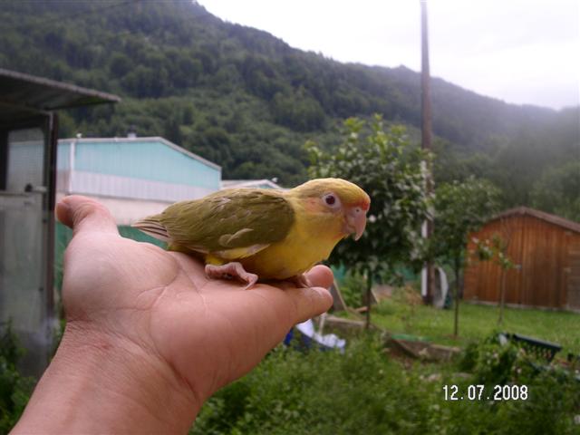 PICT0141 (Small).JPG