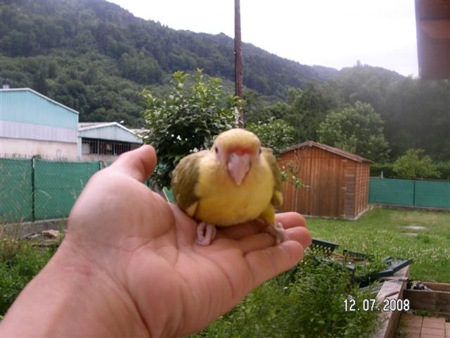 PICT0140 (Small).JPG