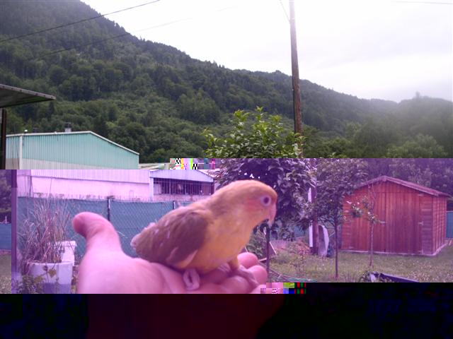 PICT0139 (Small).JPG