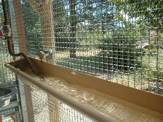 ABREUVOIR AUTOMATIQUE 10.1.JPG