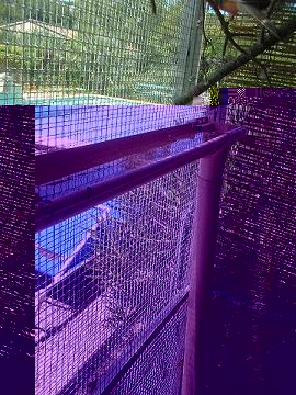 ABREUVOIR AUTOMATIQUE 11.1.JPG