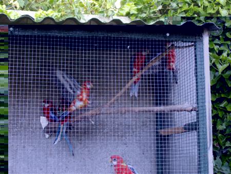 IMGP0078 (Custom).JPG