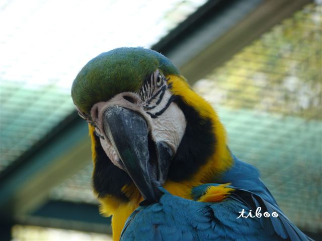 parc phoenix (85).jpg