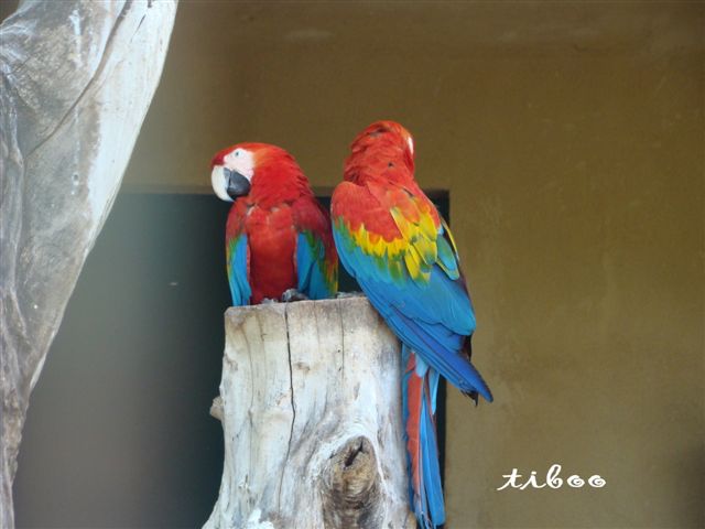 parc phoenix (81).jpg