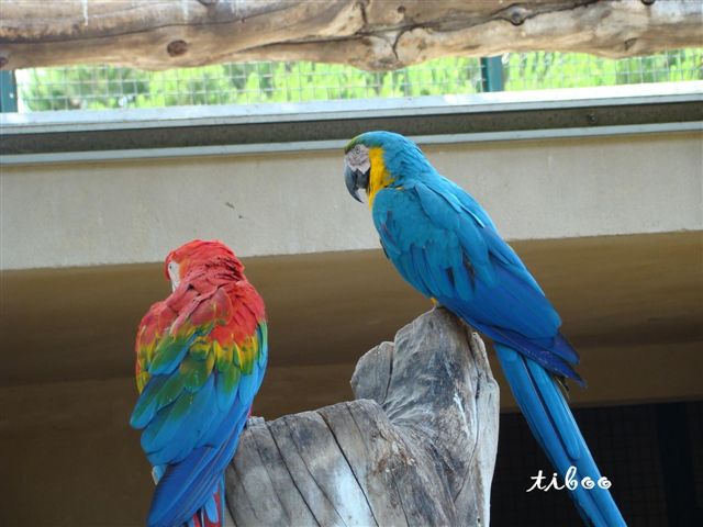 parc phoenix (93).JPG