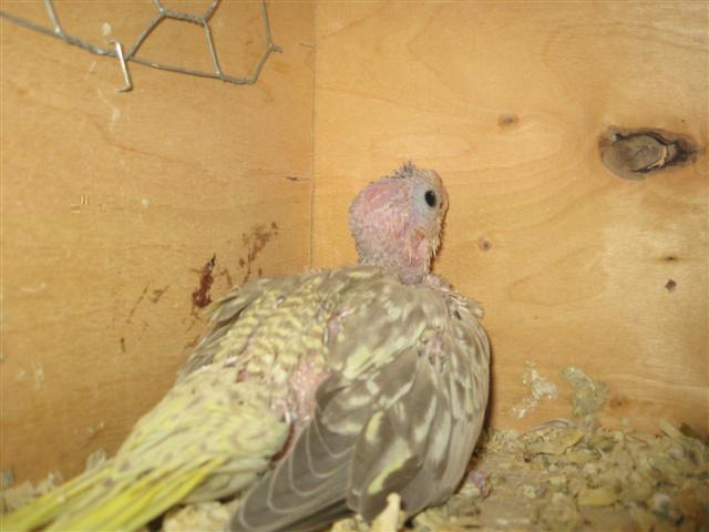 Photo 040 (Small).jpg