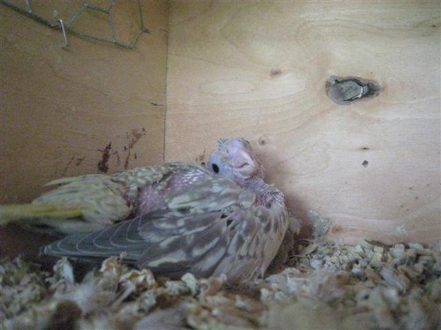 Photo 041 (Small).jpg