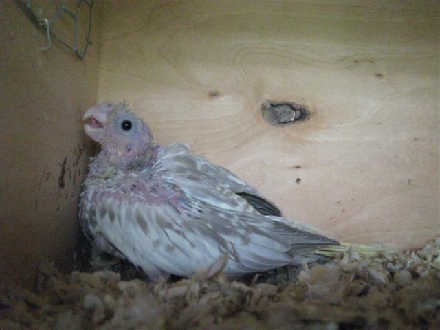 Photo 042 (Small).jpg