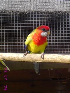 IMG_3833 (WinCE).JPG