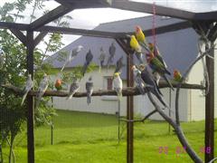 IMG_3836 (WinCE).JPG