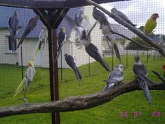 IMG_3841 (WinCE).JPG