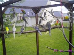 IMG_3845 (WinCE).JPG