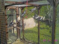 IMG_3830 (Custom).JPG