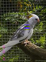 IMG_3719 (Custom).JPG