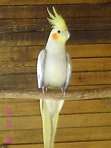 IMG_3722 (Small).JPG