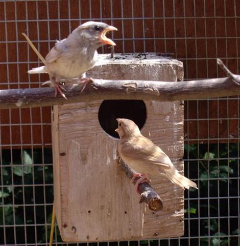 b (Medium) (Small).jpg