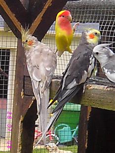 IMG_3935 (Custom).JPG