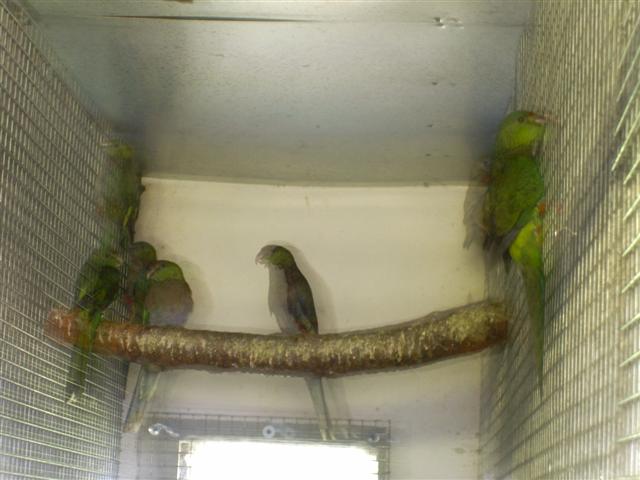 PIC_0002 (Small).JPG