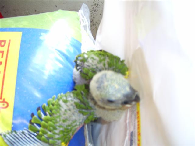 PIC_0006 (Small).JPG