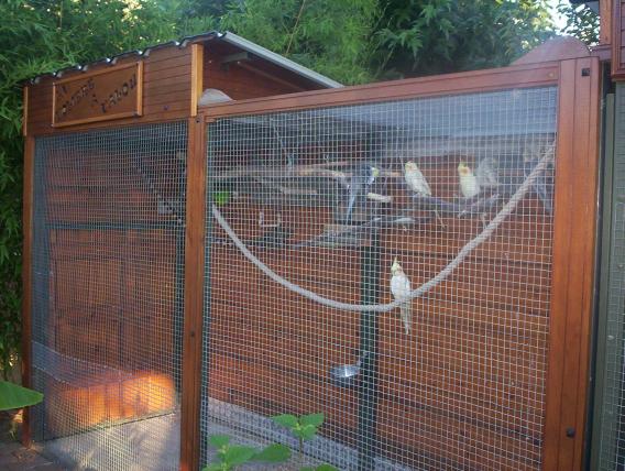 oiseaux valou 097.jpg