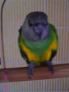 IMG_3955 (WinCE).JPG