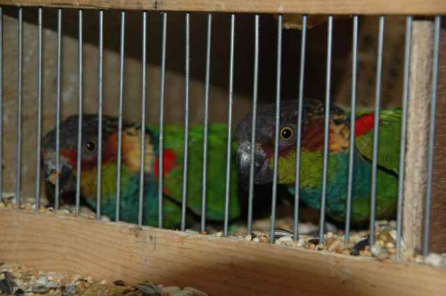 Photo 002 [640x480].jpg