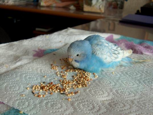 Resize of 12-03-04-0003.jpg