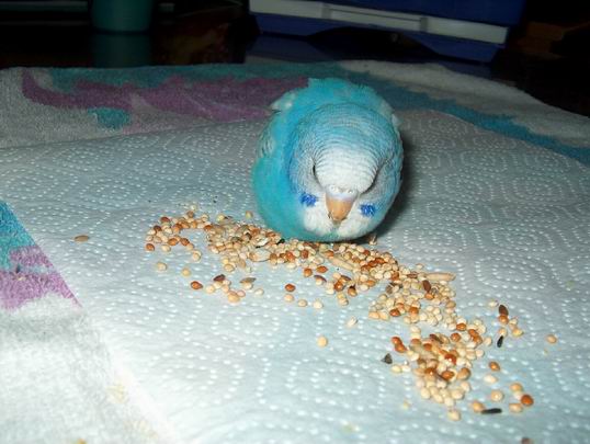 Resize of 12-03-04-0001.jpg