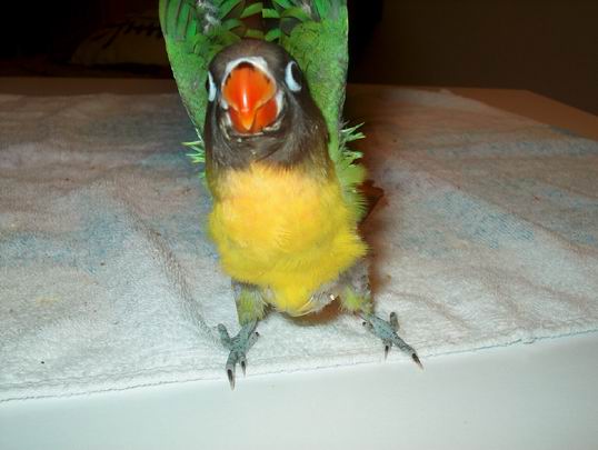 Resize of 11-03-04-0019.jpg