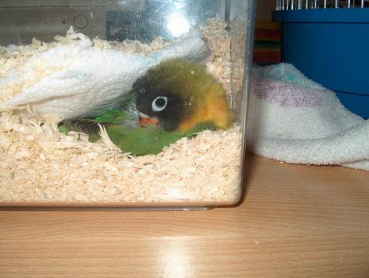 Resize of 11-03-04-0003.jpg