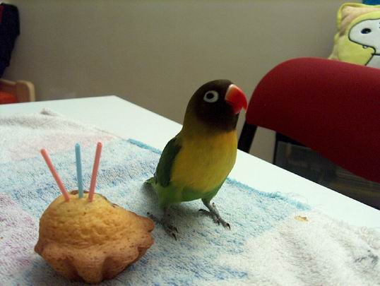 Resize of 11-03-04-0016.jpg