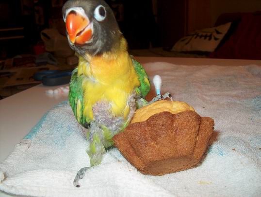 Resize of 11-03-04-0011.jpg