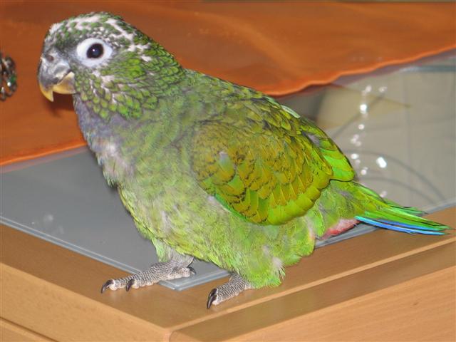 ZoÃ© 120 (Small).jpg