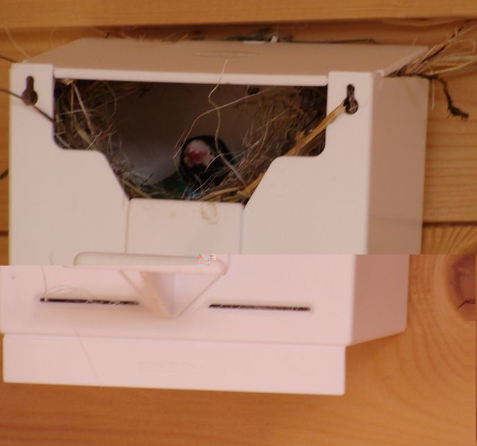 0908 papa veille.jpg