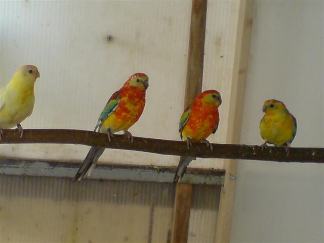 dsc01729 (Small) (2).jpg