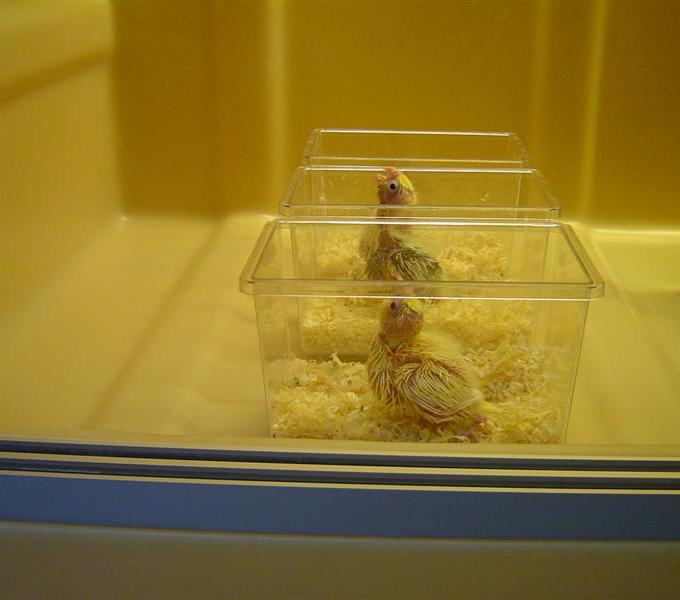 DSC05982 (Medium).JPG