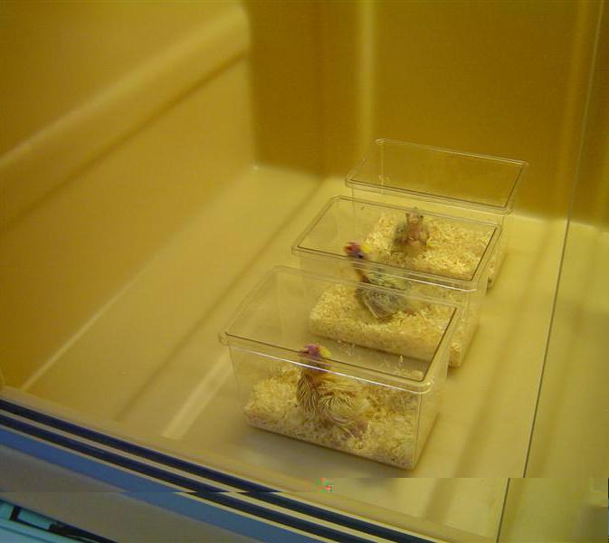 DSC05983 (Medium).JPG