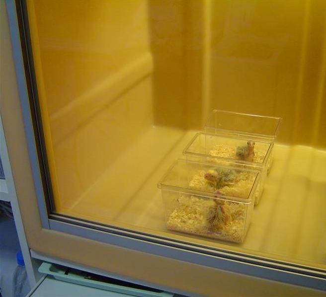 DSC05987 (Medium).JPG